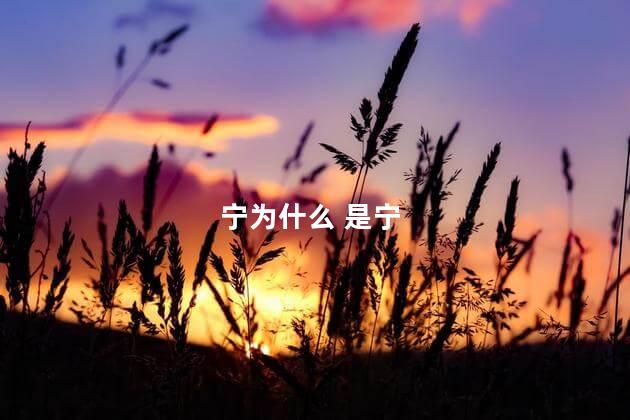 宁为什么 是宁